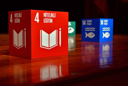 THE IMPACT RANKINGS 2026’da Kültür İmzası 